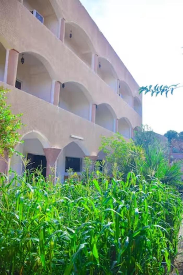 Rose Guest House Luxor Esterno foto