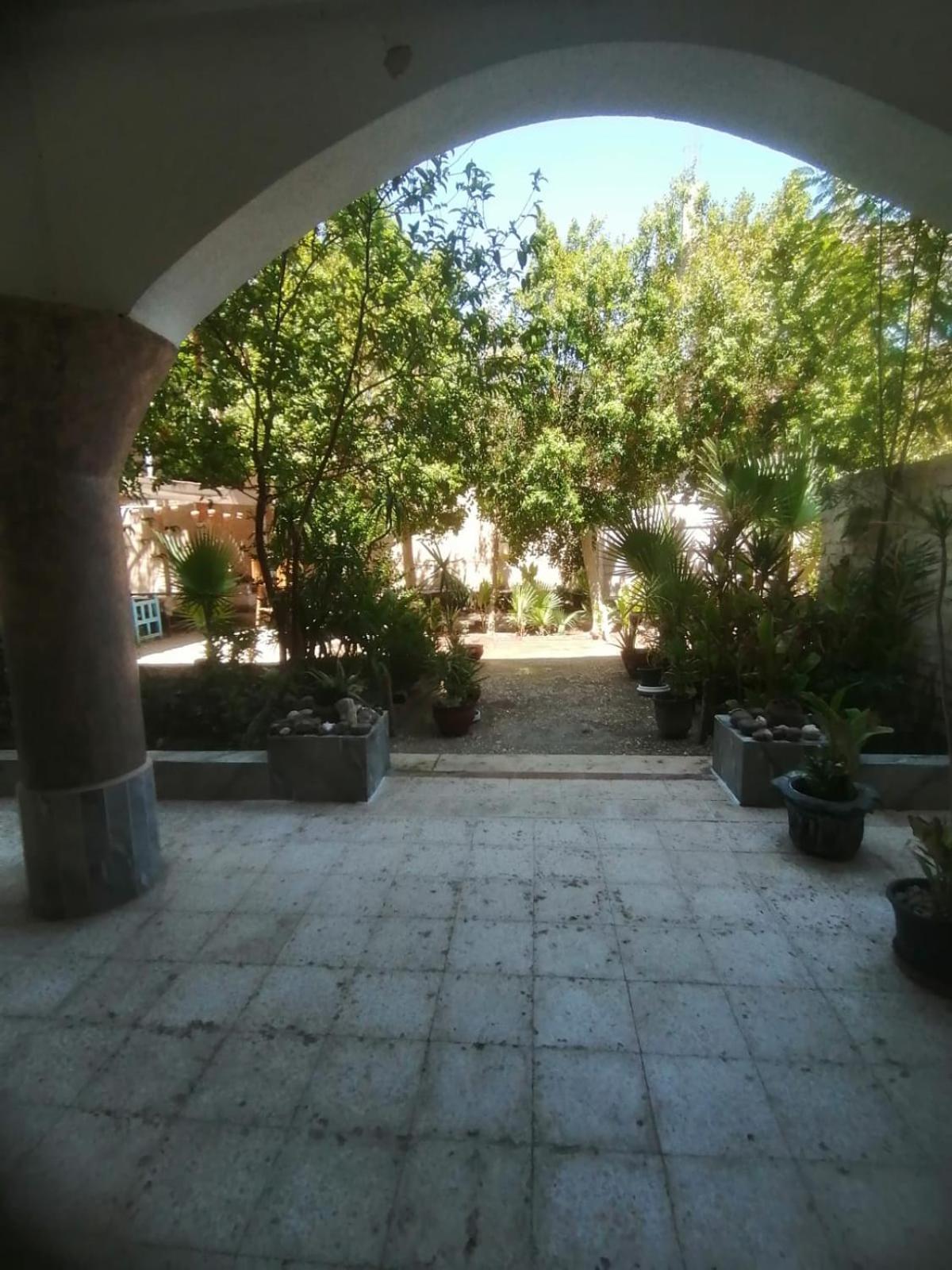 Rose Guest House Luxor Esterno foto