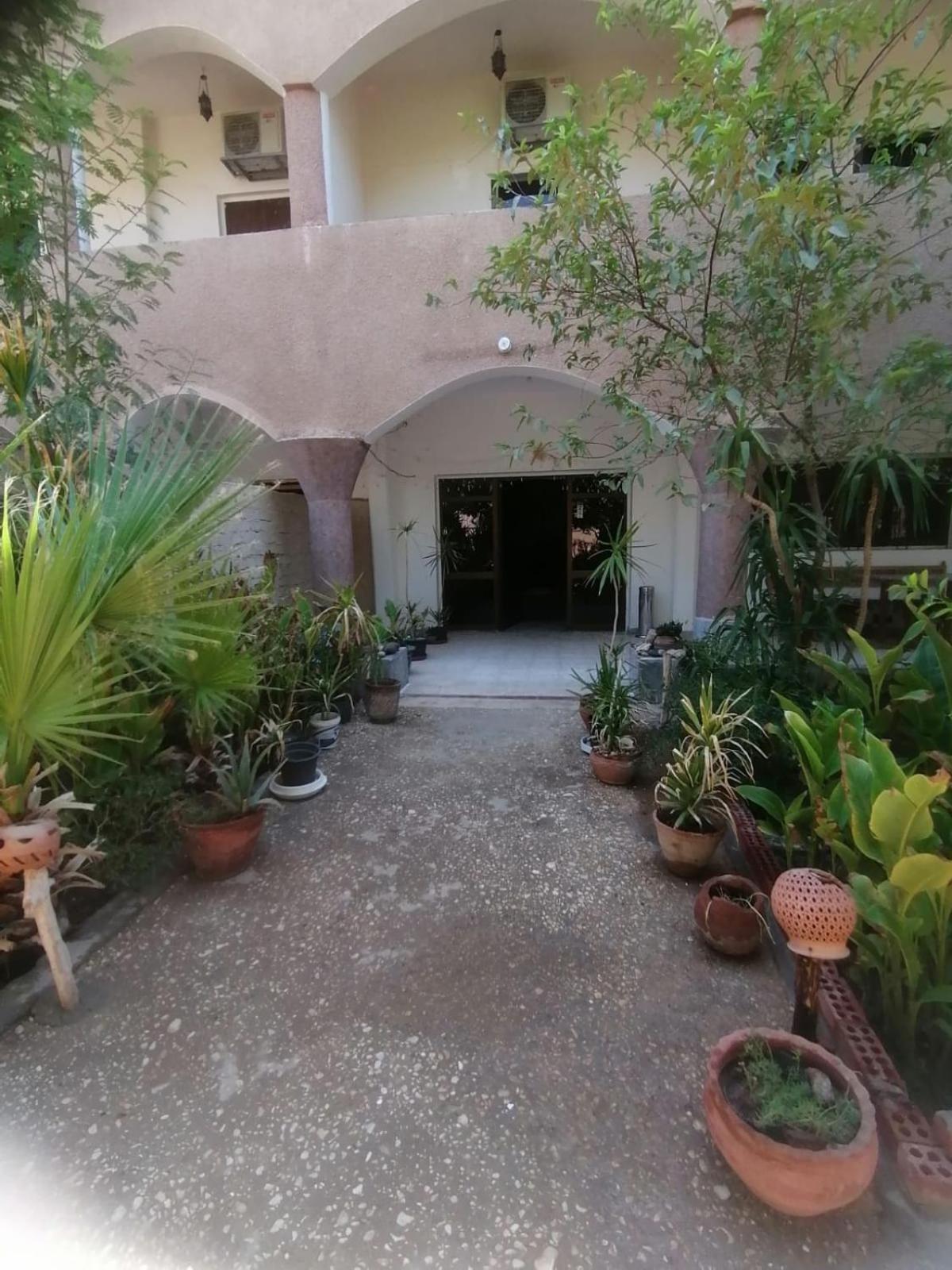 Rose Guest House Luxor Esterno foto