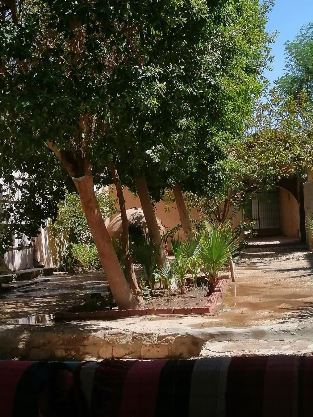 Rose Guest House Luxor Esterno foto